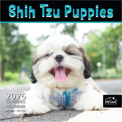 Vista 37 de MICASA PRESS Calendario de pared de Australian Shepherds Aussies 2027 02 - Pastores australianos