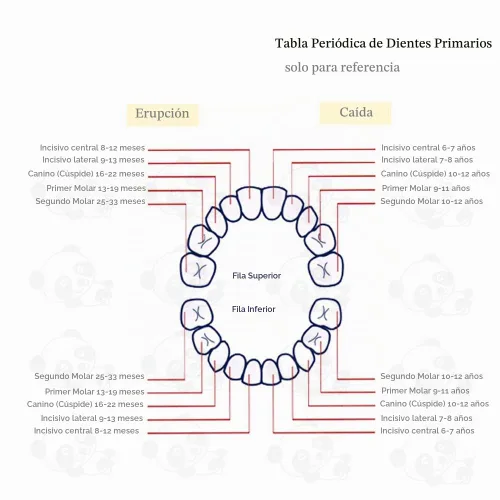 Vista 6 de PAMBO Caja de hadas de dientes de bebé, recuerdo para niños con dientes perdidos, soporte de dientes para niños, baby shower y regalos de cumpleaños