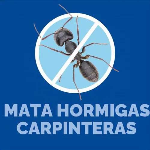 Vista 10 de BioAdvanced para hormigas y termitas Killer Plus, concentrado, 1 galón