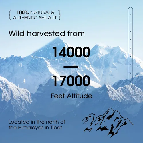 Vista 2 de Resina Shilajit pura del Himalaya, energía orgánica y apoyo a la inmunidad, máxima potencia con más de 85 minerales traza y ácido fúlvico, Shilajit