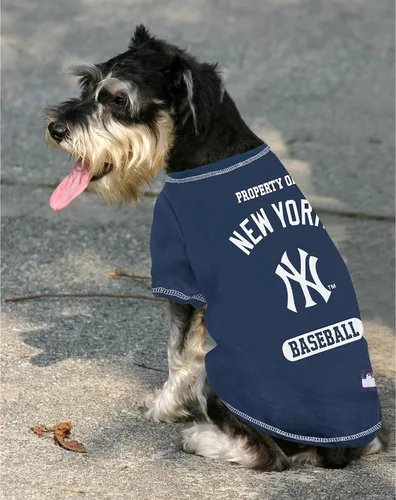 Vista 2 de Camiseta MLB para perros y gatos - Camiseta para perros de los Yankees de Nueva York, talla S. New York Yankees