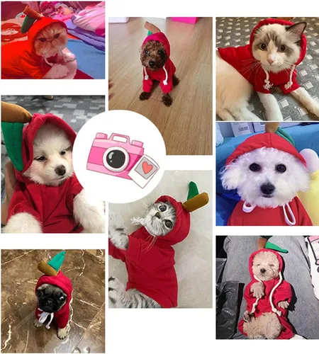 Vista 5 de XIAOYU Ropa de Apple para mascotas, sudadera con capucha de frutas para perro de Navidad, suéter de vellón para Halloween, fiesta de cosplay