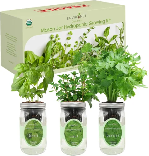 Vista 2 de Kit de cultivo de hierbas hidropónicas, kit de inicio de jardín de hierbas con riego automático en tarro de masón para interiores, jardín de hierbas