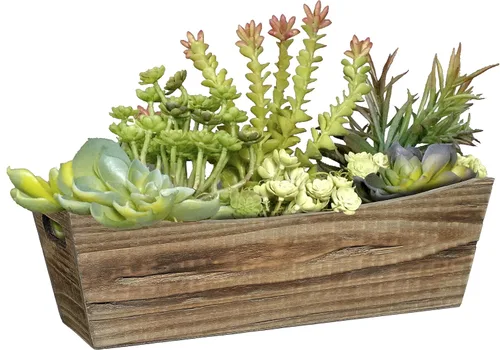 Vista 3 de Caja de madera Classic Home and Garden, para ventana