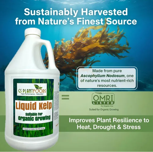 Vista 8 de GS Plant Foods Fertilizante Líquido de Kelp – Adecuado para Cultivo Orgánico, Concentrado de Algas Marinas Listado por OMRI para Césped, Jardines