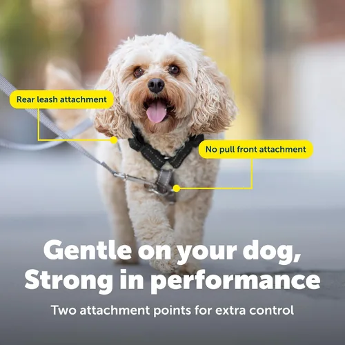 Vista 4 de PetSafe Arnés 3 en 1 con correa de control de dos puntos, arnés sin tirones, pequeño, negro, ajustable