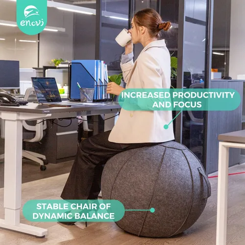 Vista 2 de Silla de bola Lite, pelota de yoga con funda para escritorio de oficina en casa, pelota de estabilidad y asiento de bola de equilibrio para aliviar