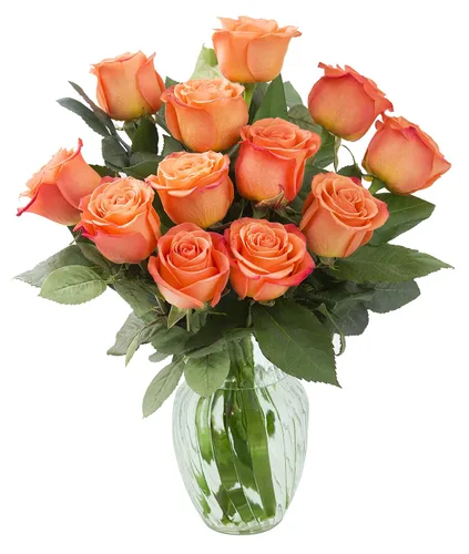 Vista 72 de KaBloom - Rosas arcoíris (media docena)- Flores frescas para cumpleaños, San Valentín y Día de la Madre