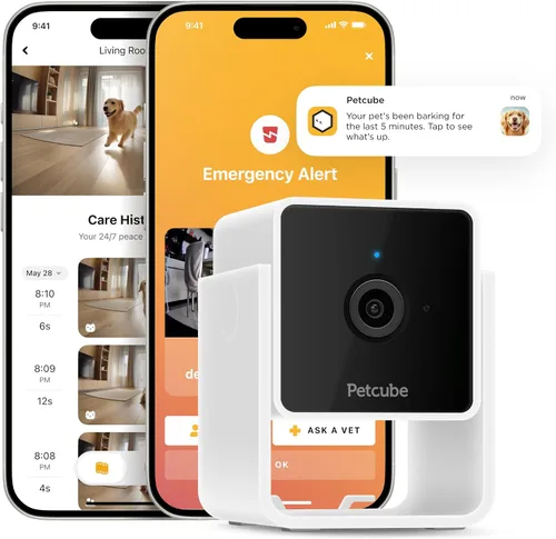 Vista 11 de Petcube Cam The Pack de 2 Cámara de seguridad para mascotas Wi-Fi para interiores con aplicación de teléfono, audio y video bidireccional, visión