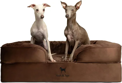 Vista 42 de NOAH & PAW Cama para perros pequeños, 20 x 15 x 8 pulgadas, cama para gatos de interior, espuma viscoelástica ortopédica de cáscara de huevo
