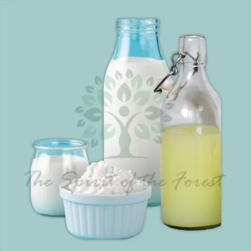 Vista 6 de 1 juego de cereales de kéfir de leche para iniciar, probiótico activo fresco y vivo comienza tu propio cultivo de kéfir en casa, Bulgaros de Leche