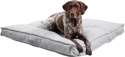 Vista 16 de Happy Hounds Milo - Cama cuadrada copetuda para perro, musgo, mediano (32 x 32 pulgadas)