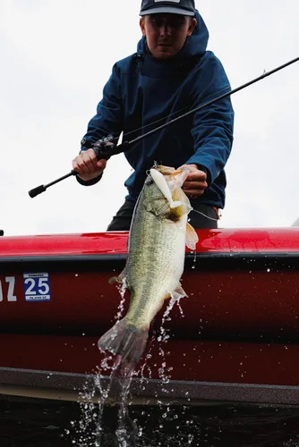 Vista 9 de Berkley PowerBait CullShad - Cebo blando para pesca