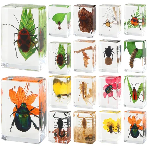 Vista 7 de 16 piezas de insectos mariposa en espécimen de resina, colección de bichos, pisapapeles, 16 estilos de espécimen real de bichos, kit de bichos