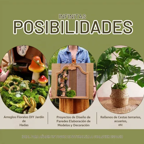 Vista 6 de USMOLA Musgo falso de 3.5 onzas para plantas de interior, musgo artificial para centros de mesa, jardines de hadas, terrarios, césped sintético