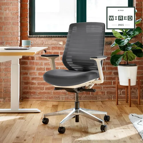 Vista 2 de Silla ergonómica Branch - Una silla de escritorio versátil con soporte lumbar ajustable, respaldo de malla transpirable y ruedas suaves - Grafito