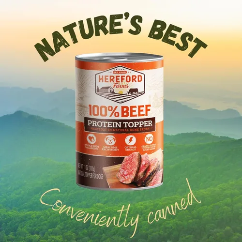 Vista 8 de Alimento húmedo para perros 100% de carne de res, un solo ingrediente, mezclador y adorno rico en proteínas, pastel de carne en caldo de hueso, lata