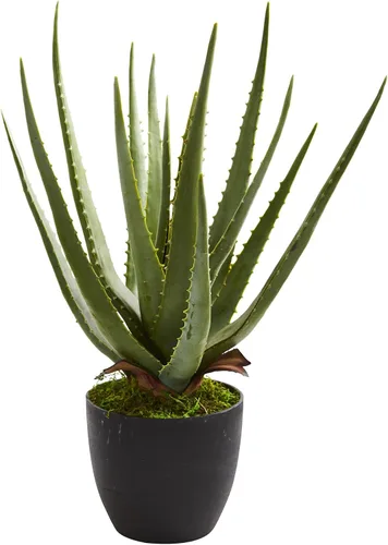 Vista 2 de Nearly Natural Planta artificial de aloe (juego de 2)