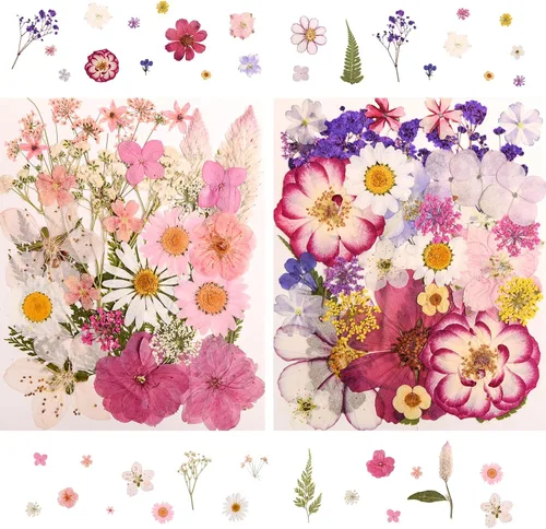 Vista 5 de 182 PCS Real Pressed Dried Flowers and Leaves for DIY Crafts Multicolor2
