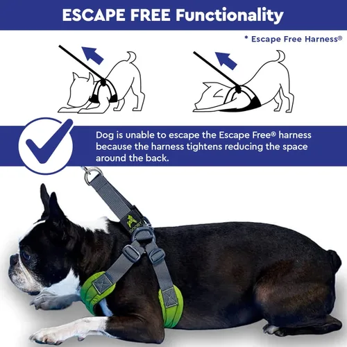 Vista 7 de Arnés de goma espuma con memoria Gooby Escape Free - Azul, pequeño - Arnés para perros sin tirón, de entrada fácil, con ajuste de cuatro puntos
