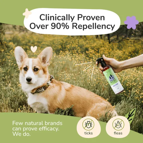 Vista 2 de Kit de protección contra garrapatas (champú de lavanda - spray de lavanda)