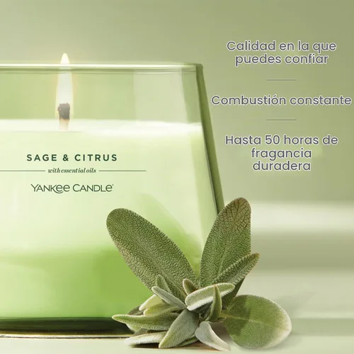 Vista 3 de Yankee Candle - Vela perfumada Studio con hasta 50 horas de tiempo de combustión, mezcla de cera vegetal prémium para una combustión constante, vela