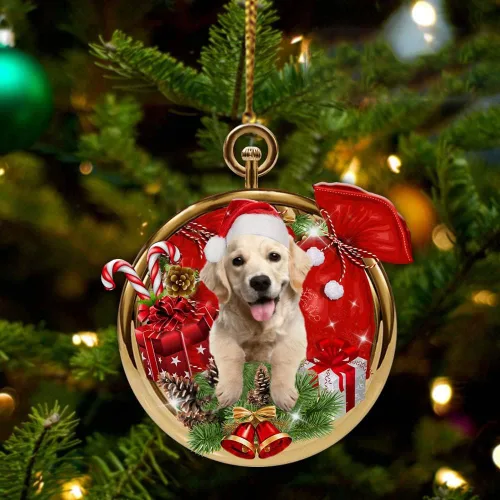 Vista 45 de Nazenti Adorno personalizado de bola de Navidad de pastor australiano – Adorno de perro personalizado para amantes de las mascotas, colgante