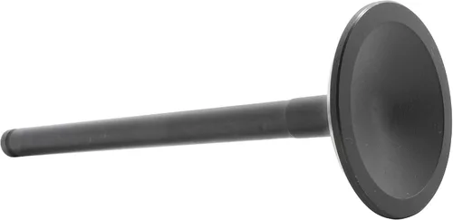 Vista 2 de DNJ EV1130 Válvula de escape para Dodge 1992-2003, Jeep B150, B1500, B250 3.9L-5.9L V8 16V OHV 5211cc