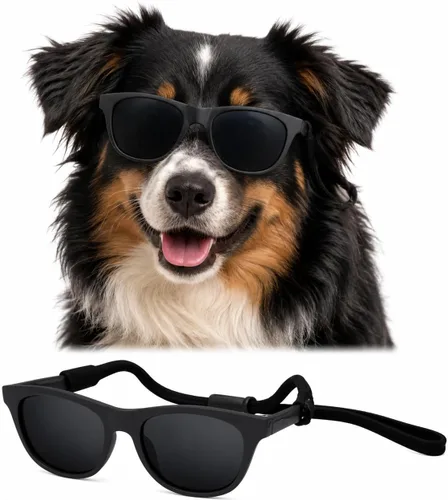 Vista 5 de G006 - Lentes de sol para disfraz de perro mascota de los años 80, para sesión de fotos, razas medianas de 20 a 40 libras