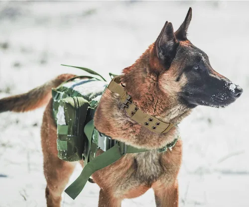 Vista 6 de Collar táctico para perro con asa, collar de entrenamiento militar ajustable para perros, nailon suave y hebilla de metal resistente para perros