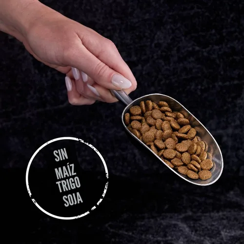 Vista 8 de CRAVE Alimento seco natural para gatos adultos con alto contenido