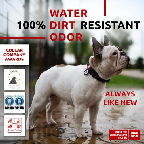 Vista 2 de WAUDOG Collar de perro impermeable – Collar ajustable para perros grandes, pequeños y medianos – Collares resistentes con cierre de metal duradero