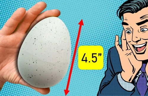 Vista 6 de JA-RU Huevos Gigantes de Dinosaurio Crecientes Juguetes (1 Huevos Surtidos) Sorpresa Mágica Eclosión y Crecimiento en Agua Animales para Niños
