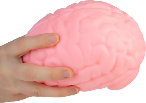 Vista 6 de ORB Easy Sqweezy Jumbo Brainy - Cerebro grande, divertido, lento y blando