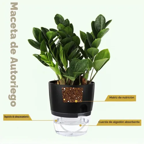 Vista 3 de Vanavazon Macetas de riego automático de 6 pulgadas para plantas de interior, paquete de 3 macetas de violeta africana con cuerda de mecha