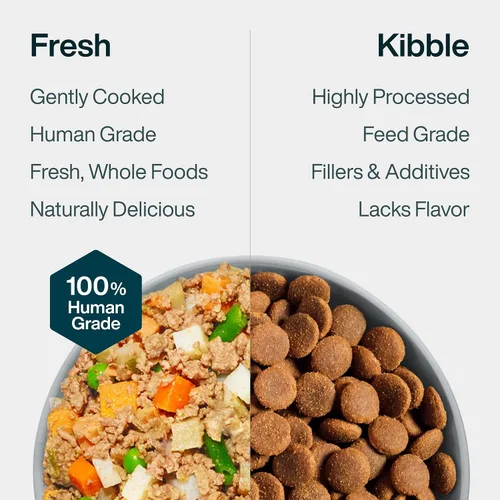 Vista 7 de JustFoodForDogs Comida Congelada Fresca para Perros, Comida Completa o Complemento, Receta de Carne de Res y Papa Russet de Grado Humano, 18 oz