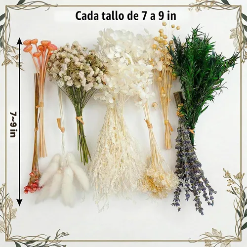 Vista 2 de LUXEEASE 11 tipos de mini ramo de flores secas mixtas con tallos, 176 Neutrales Naturales