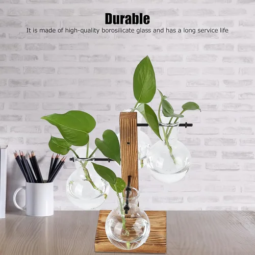 Vista 4 de Asixxsix Terrarios de plantas con soporte de madera, soporte retro para macetas hidropónicas de escritorio con 4 bombillas para propagar plantas