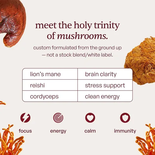 Vista 5 de Forest Caps Gomitas de hongos – Melena de León, Reishi y Cordyceps – Enfoque, calma y energía natural – Extractos corporales frutales orgánicos