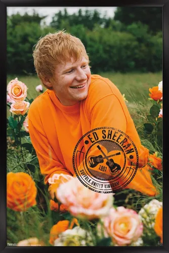 Vista 8 de Trends International Ed Sheeran - Póster de pared de campo de rosas, 22.37 x 34.00 pulgadas, versión enmarcada de madera de granero