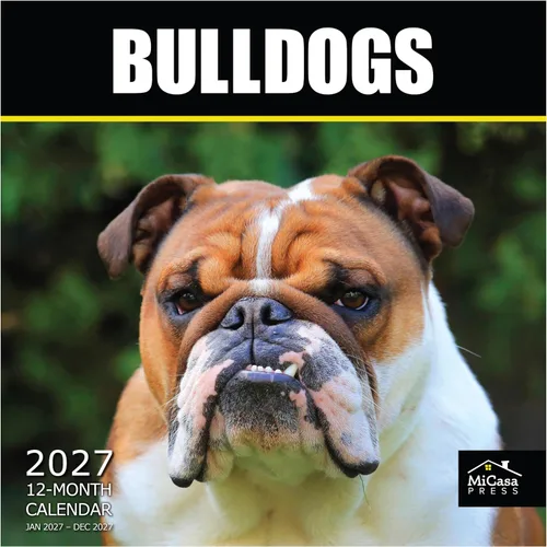 Vista 105 de MICASA PRESS Calendario de pared de Australian Shepherds Aussies 2027 02 - Pastores australianos