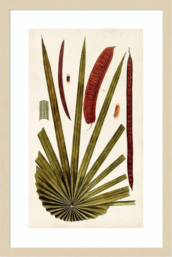 Vista 14 de Amanti Art Vision Studio - Lienzo decorativo para pared, 24 x 17 pulgadas, variedades de hojas VI por Vision Studio, arte de pared de naturaleza