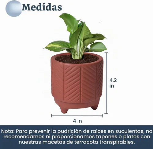 Vista 2 de Fine Living Maceta de terracota de 4 pulgadas con patrón de cheurón para Marrón - Chevro