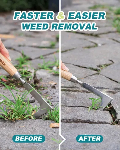 Vista 3 de Herramienta de deshierbe de grietas para entre adoquines, herramienta de eliminación de malas hierbas para acera, cubierta de pavimentación