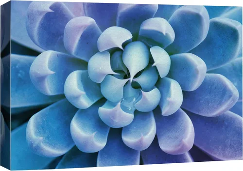 Vista 34 de SIGNFORD - Lienzo impreso en lienzo para pared, diseño de flores blancas en floreros de cristal, ilustraciones florales, estilo moderno, grupo