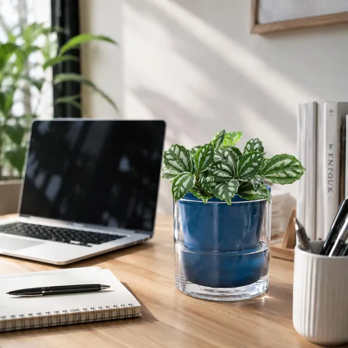 Vista 7 de D'vine Dev Maceta de Diseño de Riego Automático de 4 Pulgadas para Plantas de Interior, Maceta de Terracota Azul con Vaso Cilíndrico de Vidrio