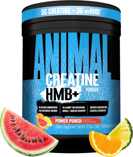 Vista 10 de Polvo de creatina animal HMB – 0.11 oz myHMB + 0.18 oz de creatina con electrolitos para recuperación y energía diaria – Power Punch (3) y Dragon
