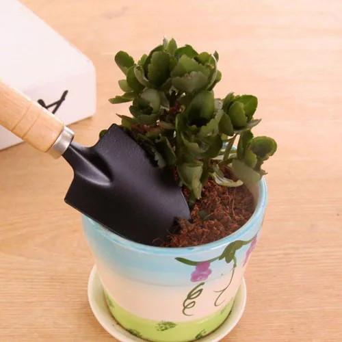 Vista 6 de Leadigol Mini pala de jardín deshierbe hogar flor pala maceta planta bonsái herramienta mango de madera jardinería maceta herramienta mango