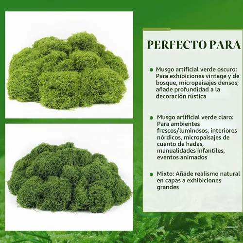 Vista 7 de Musgo artificial artificial de 5.3 onzas para manualidades, musgo decorativo preservado para plantas, jardín de hadas, bricolaje, paredes Verde