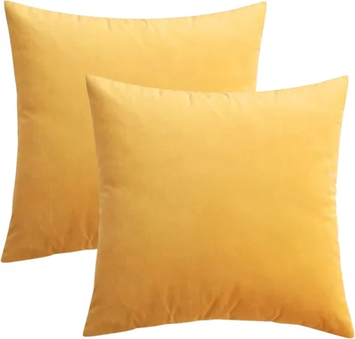 Vista 13 de RELY+ Paquete de 2 fundas de almohada de terciopelo de 18 x 18 pulgadas, suaves, acogedoras, lisas, decorativas, fundas de cojín de lujo para sofá